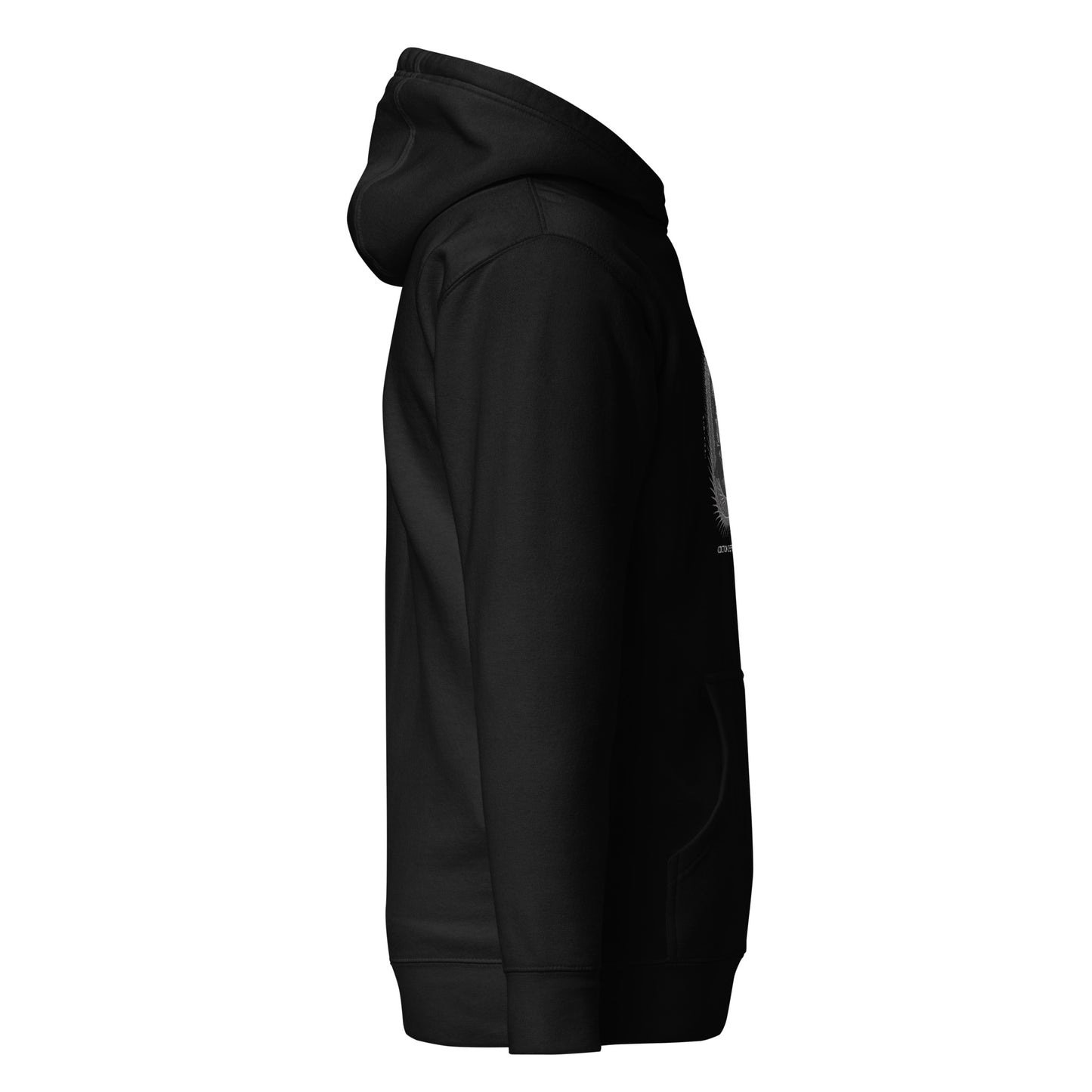 PARENTAL ADVISORY - CLASSIC PLUSH HOODIE